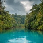 Amazônia Azul: A Riqueza Oculta dos Mares Brasileiros