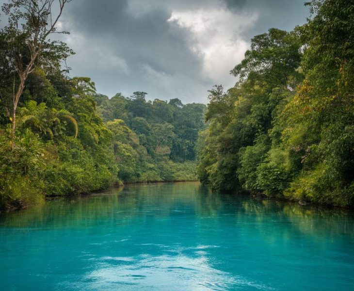 Amazônia Azul: A Riqueza Oculta dos Mares Brasileiros