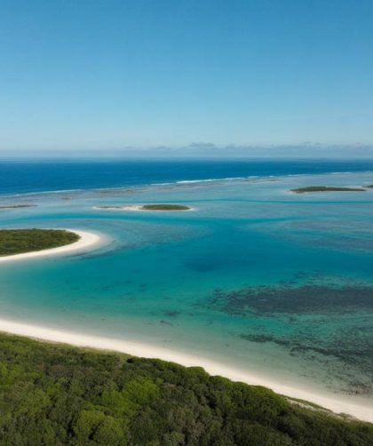 A Magia das Piscinas Naturais do Brasil: Onde o Oceano se Transforma em Paraíso